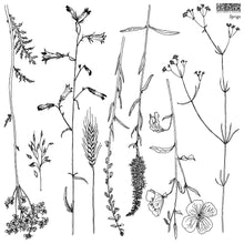 Load image into Gallery viewer, Sprigs Decor Stamp