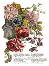 Load image into Gallery viewer, June, Ode to Henry Fletcher Transfer