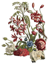 Load image into Gallery viewer, June, Ode to Henry Fletcher Transfer