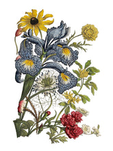 Load image into Gallery viewer, June, Ode to Henry Fletcher Transfer
