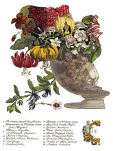 Load image into Gallery viewer, June, Ode to Henry Fletcher Transfer