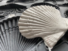 Load image into Gallery viewer, Sea Shells Decor Mould