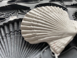 Sea Shells Decor Mould