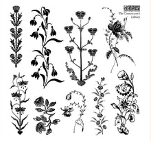 Load image into Gallery viewer, The Connoisseurs Library Decor Stamp Box Set FOUR SHEETS