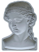 Load image into Gallery viewer, Persephone Decor Mould 5x7