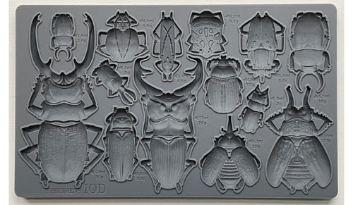 Specimens Decor Mould