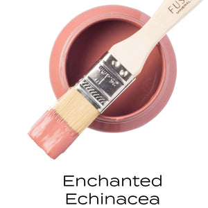 Enchanted Echinacea 500ml