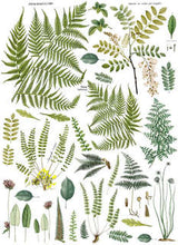 Load image into Gallery viewer, Fronds Botanical Decor Transfer