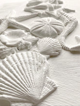 Load image into Gallery viewer, Sea Shells Decor Mould