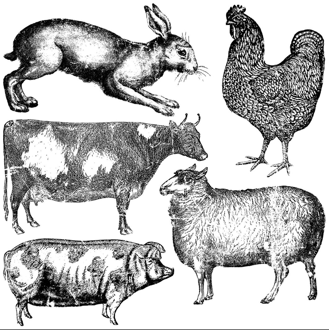 Farm Animals Decor Stamp