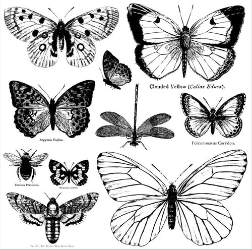 Butterflies Decor Stamp 12x12